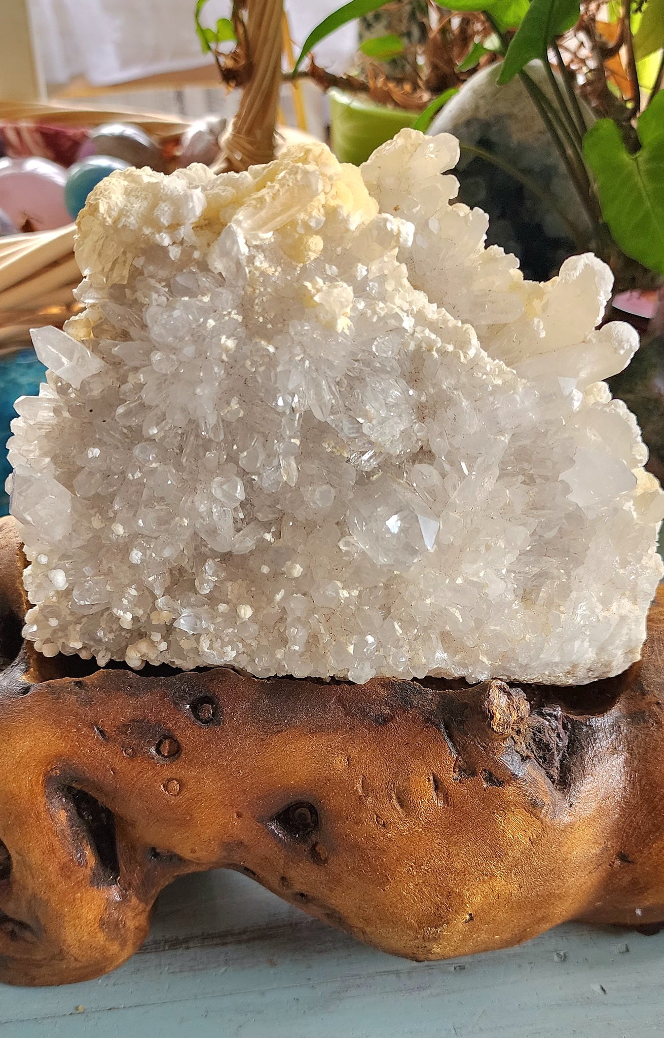 Clear Quartz with Calcite Cluster + Driftwood Stand