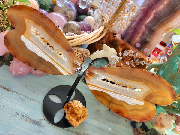 🏵️Carnelian Druzy Dragonfly