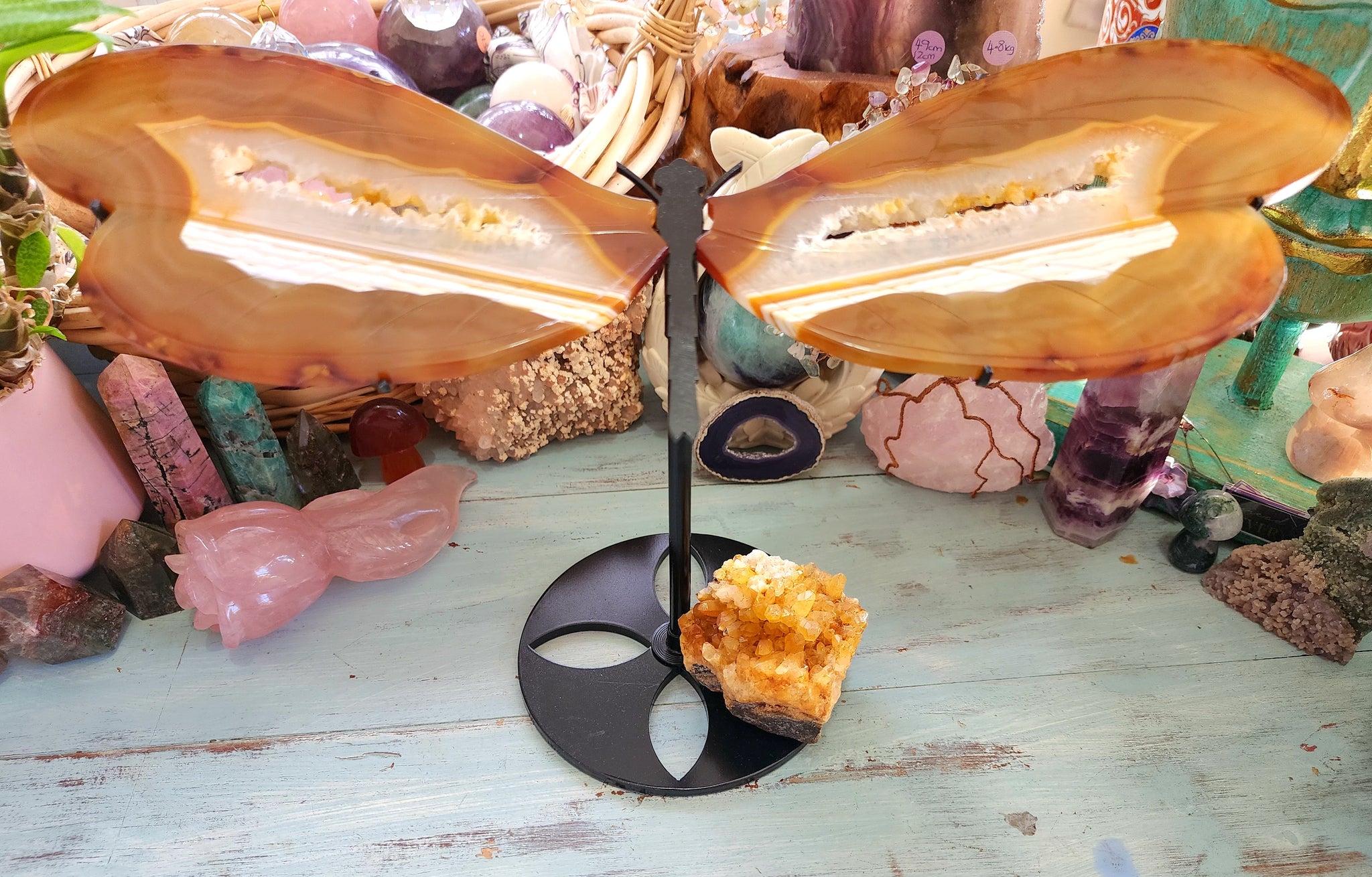 🏵️Carnelian Druzy Dragonfly