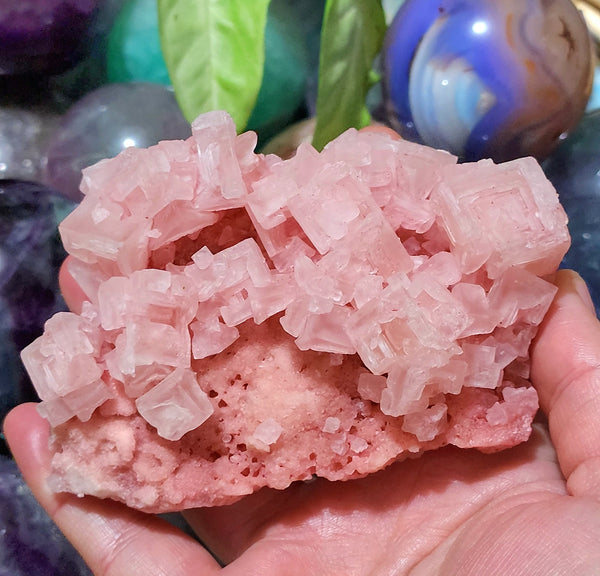 Rare Pink Halite Cluster