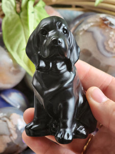 Obsidian Dog