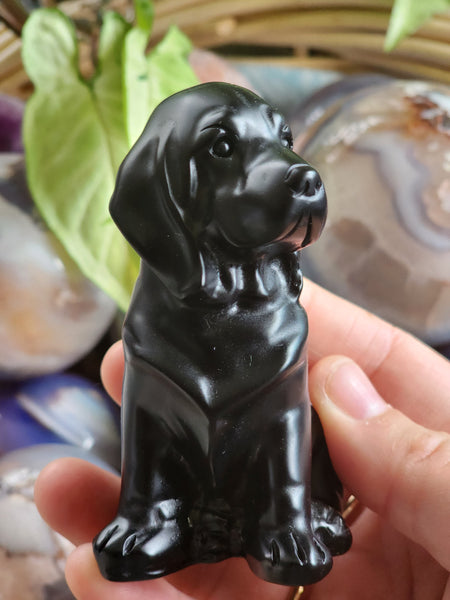 Obsidian Dog