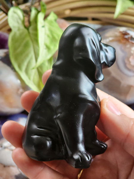 Obsidian Dog