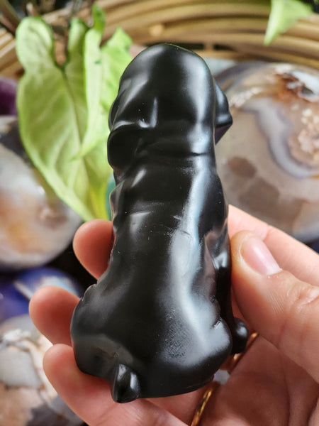 Obsidian Dog