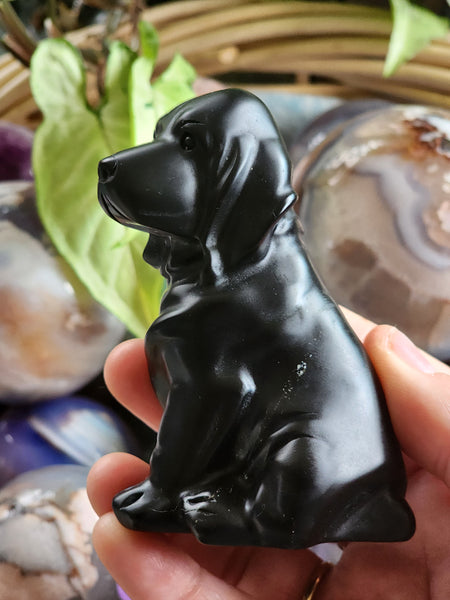 Obsidian Dog