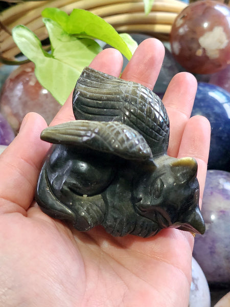 Gold Sheen Obsidian Angel Cat