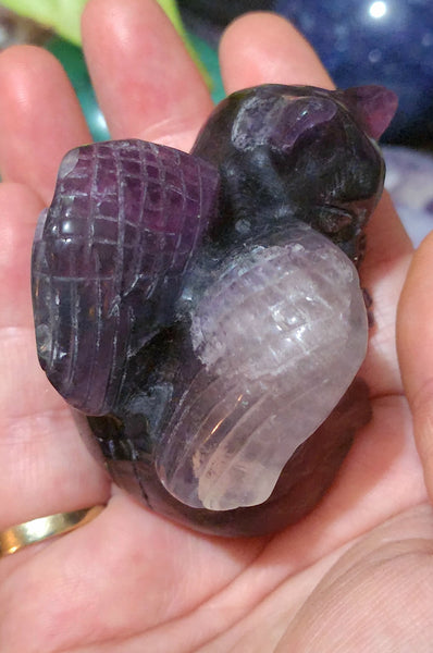 Rainbow Fluorite Angel Cat
