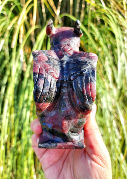 Garnet Arfedsonite Griffin
