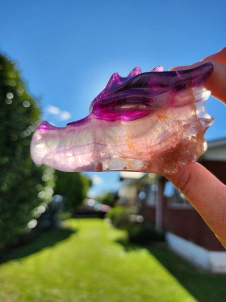 Fluorite Dragon Skull