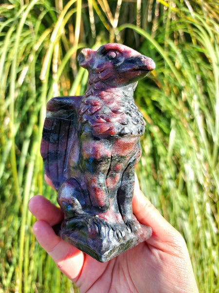 Garnet Arfedsonite Griffin