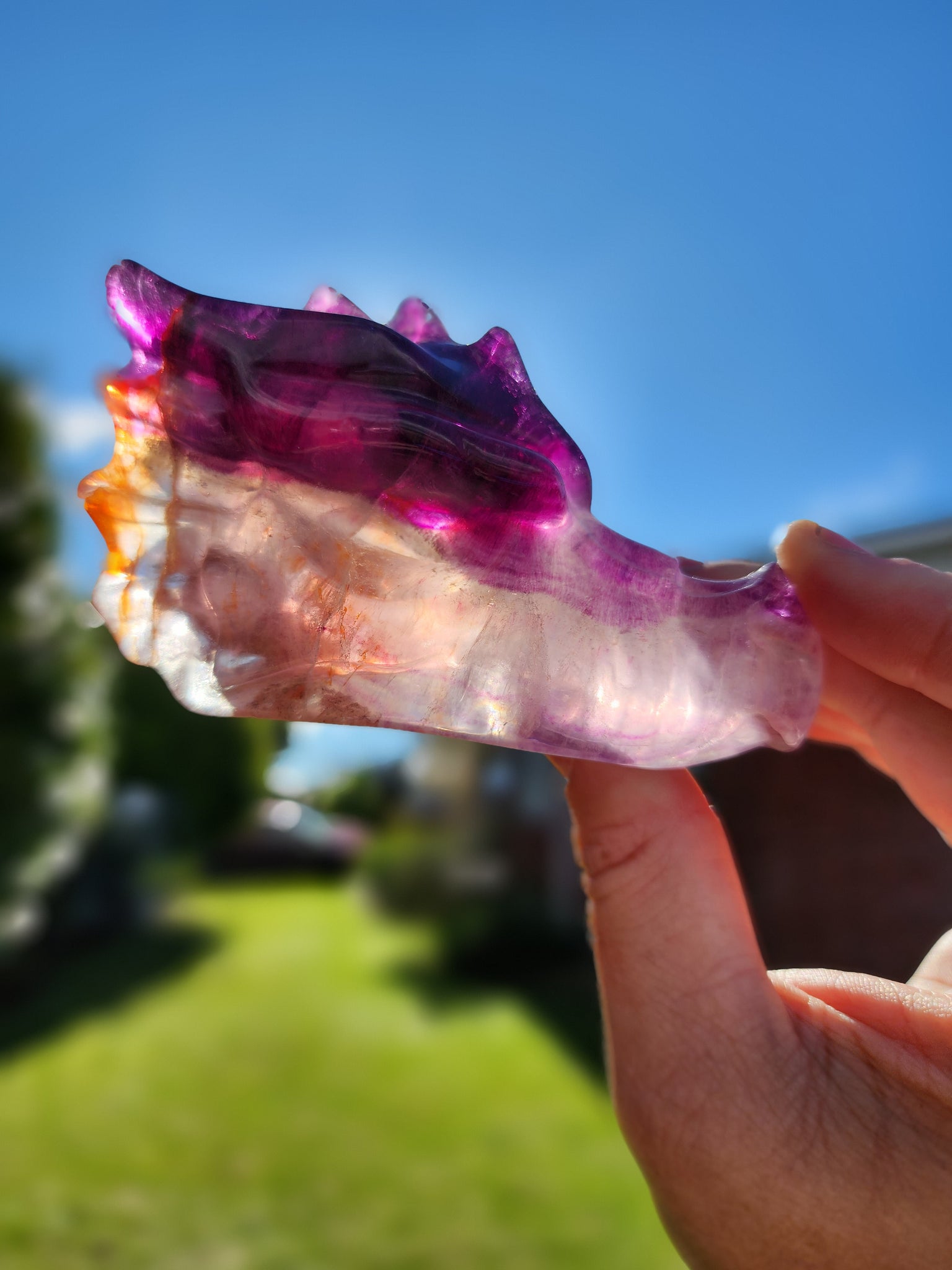 Fluorite Dragon Skull