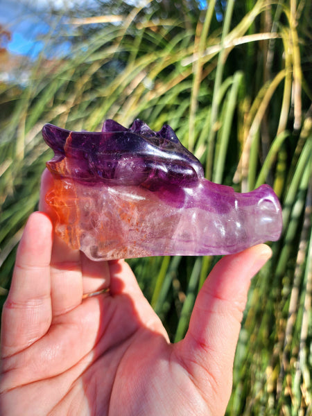 Fluorite Dragon Skull