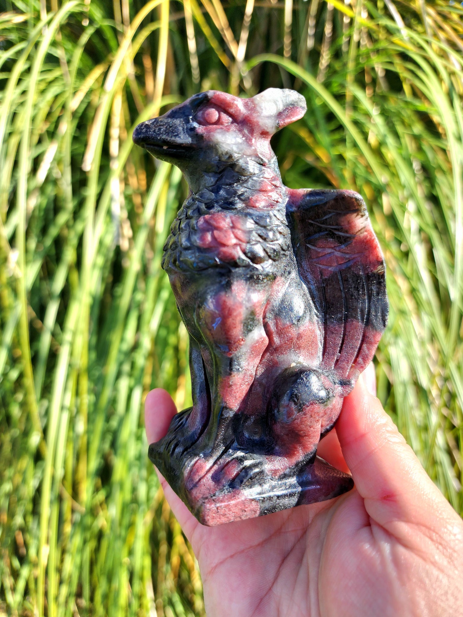 Garnet Arfedsonite Griffin