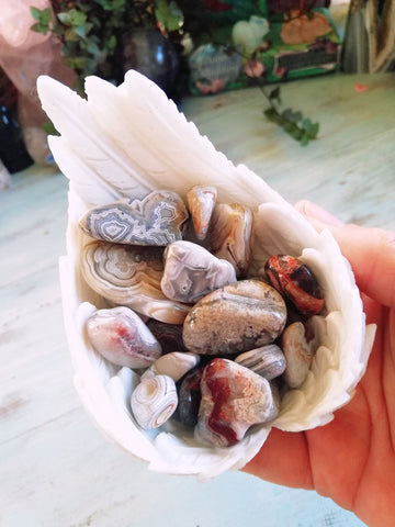 🖤Crazy Lace Agate Freeform Tumbles