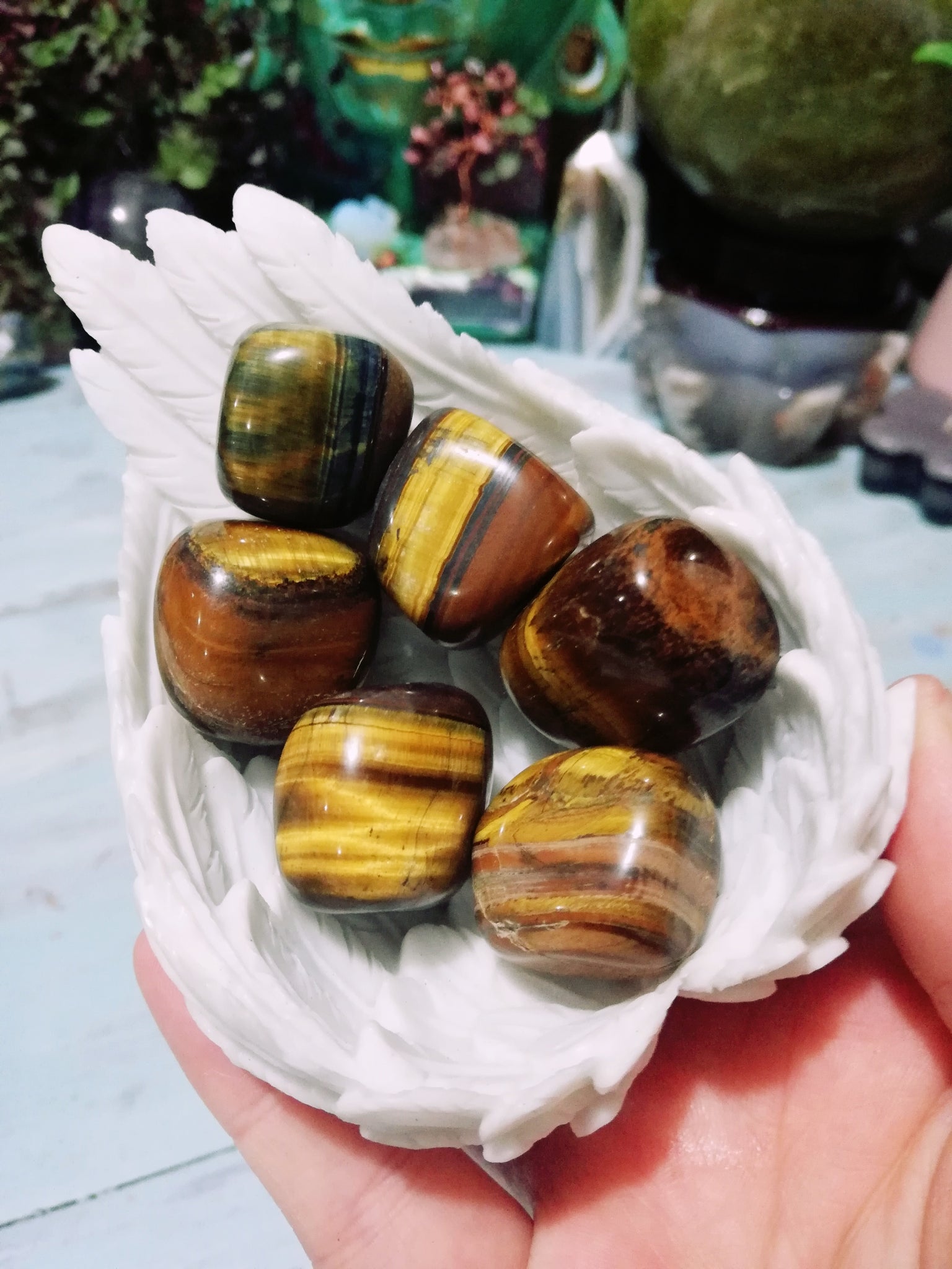 🐯👁️Tigers Eye Tumbles
