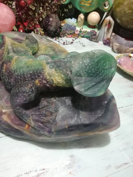 🦎Fluorite Lizard Guardian