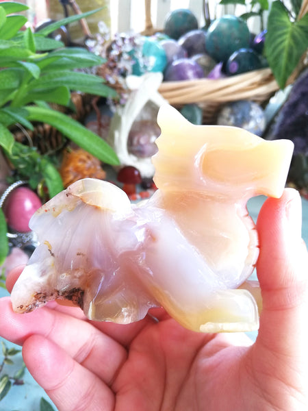 Druzy Agate Dragon