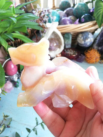 Druzy Agate Dragon